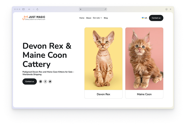 Just Magic — питомник Devon Rex и Maine Coon