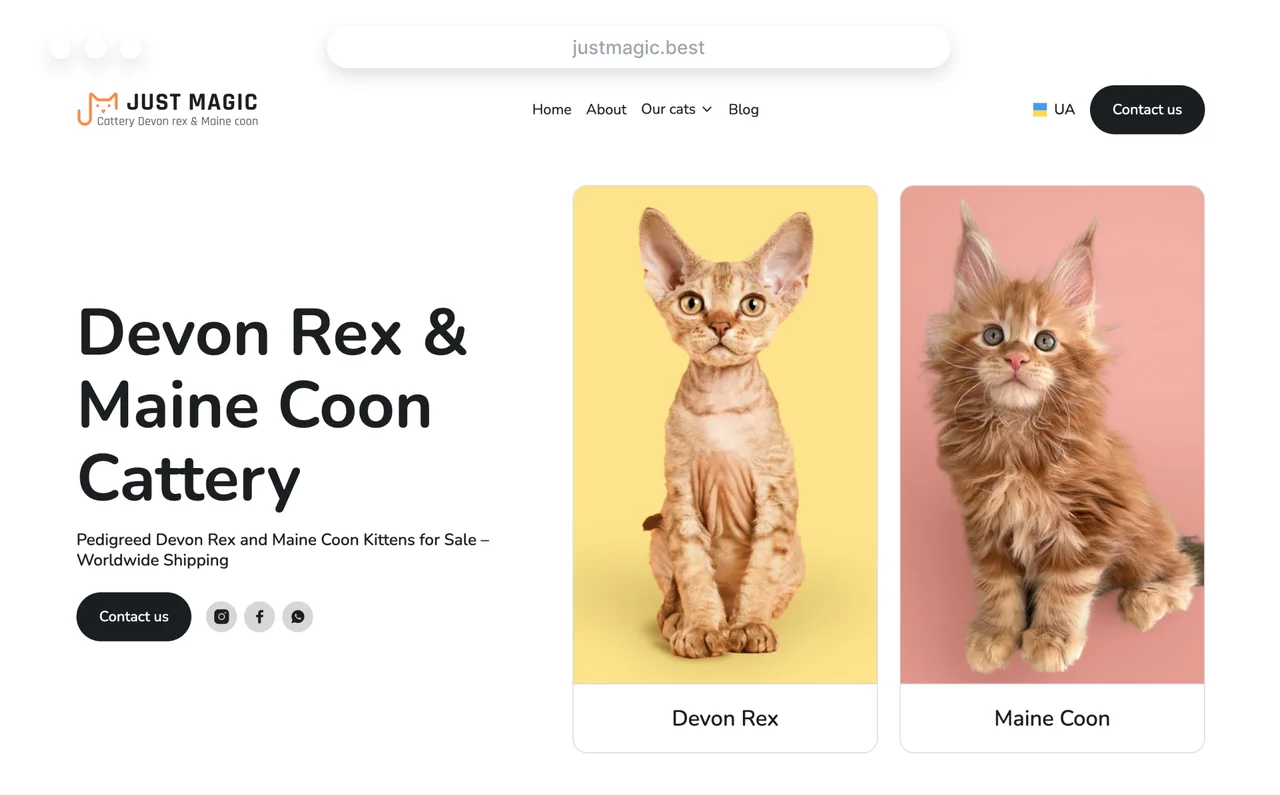 Just Magic — питомник Devon Rex и Maine Coon